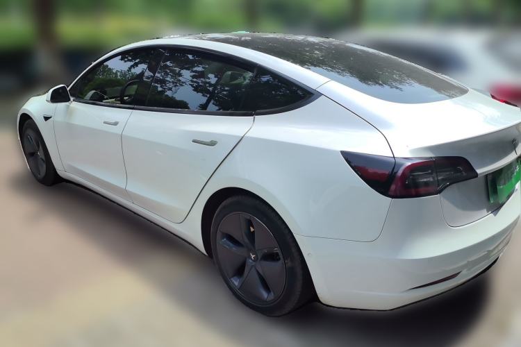 Used Tesla Model 3 2020 Standard Range Rear-Wheel Drive Upgraded Version Rear Left 45 Deg