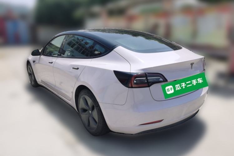 Used Tesla Model 3 2020 Standard Range Rear-Wheel Drive Upgraded Version Rear Left 45 Deg