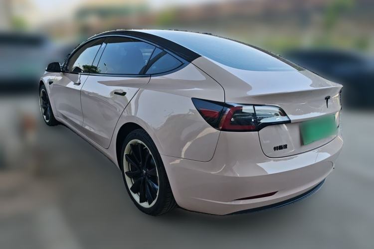 Used Tesla Model 3 2020 Standard Range Rear-Wheel Drive Upgraded Version Rear Left 45 Deg