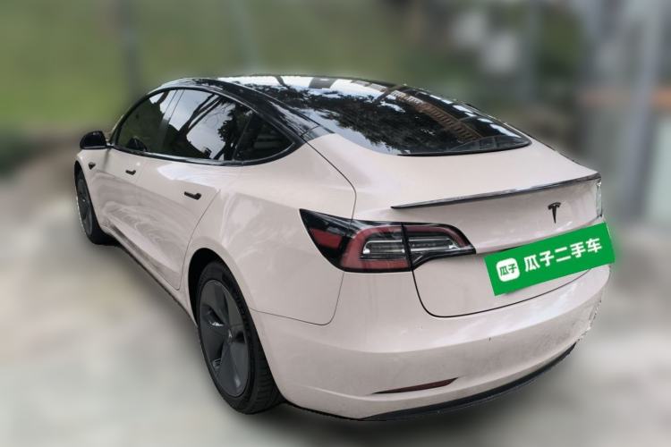 Used Tesla Model 3 2020 Standard Range Rear-Wheel Drive Upgraded Version Rear Left 45 Deg