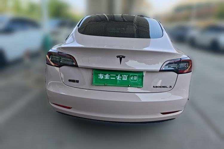 Used Tesla Model 3 2020 Standard Range Rear-Wheel Drive Upgraded Version Rear