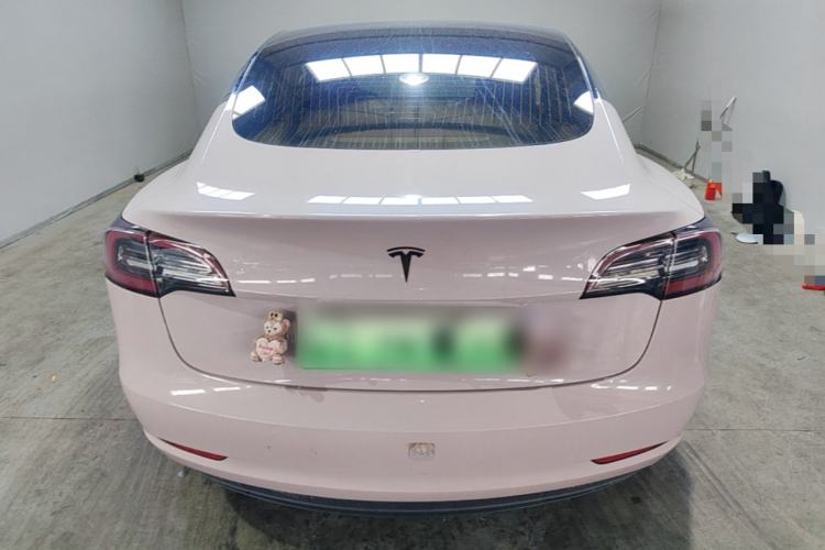 Used Tesla Model 3 2020 Standard Range Rear-Wheel Drive Upgraded Version Rear