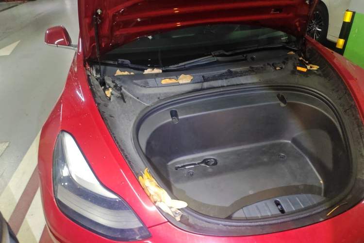 Used Tesla Model 3 2020 Revised Version Standard Range Rear-Wheel Drive – Upgraded Edition Engine Bay Right