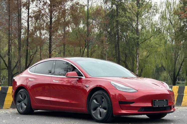 Used Tesla Model 3 2020 Standard Range Rear-Wheel Drive Upgraded Version Exterior 1