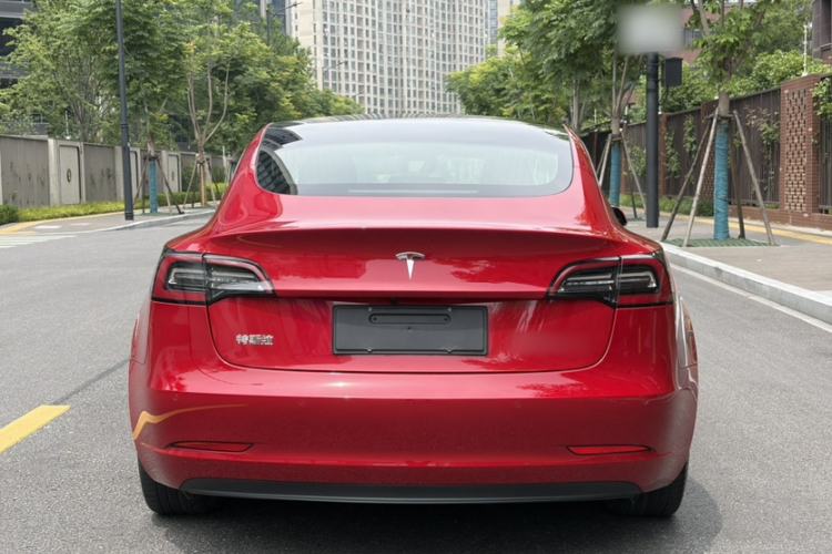 Used Tesla Model 3 2020 Standard Range Rear-Wheel Drive Upgraded Version Exterior 3