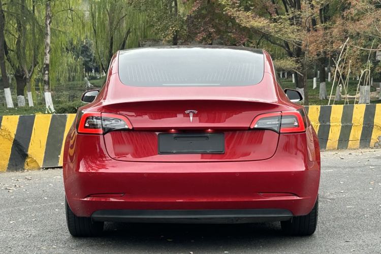 Used Tesla Model 3 2020 Standard Range Rear-Wheel Drive Upgraded Version Exterior 4