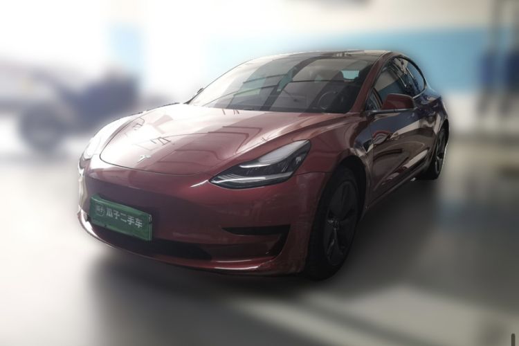 Used Tesla Model 3 2020 Standard Range Rear-Wheel Drive Upgraded Version Exterior 5