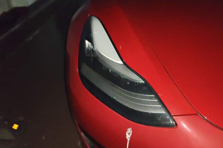 Used Tesla Model 3 2020 Revised Version Standard Range Rear-Wheel Drive – Upgraded Edition Exterior 6