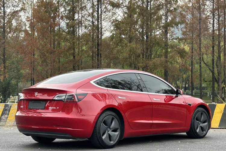 Used Tesla Model 3 2020 Standard Range Rear-Wheel Drive Upgraded Version Exterior 7