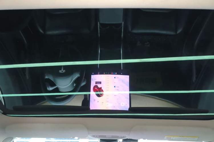 Used Tesla Model 3 2020 Standard Range Rear-Wheel Drive Upgraded Version Headliner