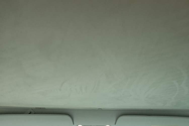 Used Tesla Model 3 2020 Refreshed Version Long-Range Rear-Wheel Drive Headliner