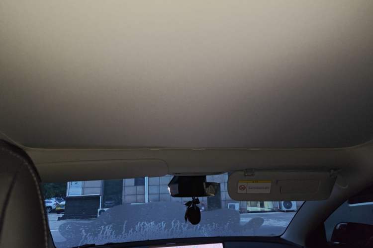 Used Tesla Model 3 2020 Refreshed Version Long-Range Rear-Wheel Drive Headliner