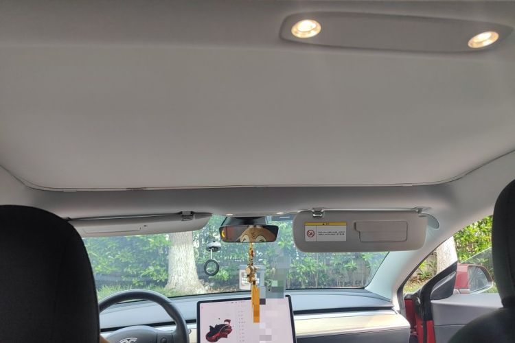 Used Tesla Model 3 2020 Refreshed Version Long-Range Rear-Wheel Drive Headliner