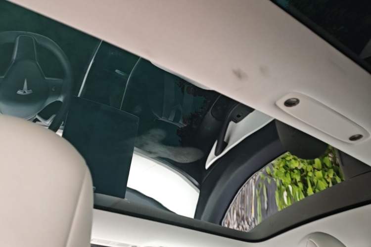 Used Tesla Model 3 2020 Refreshed Version Long-Range Rear-Wheel Drive Headliner