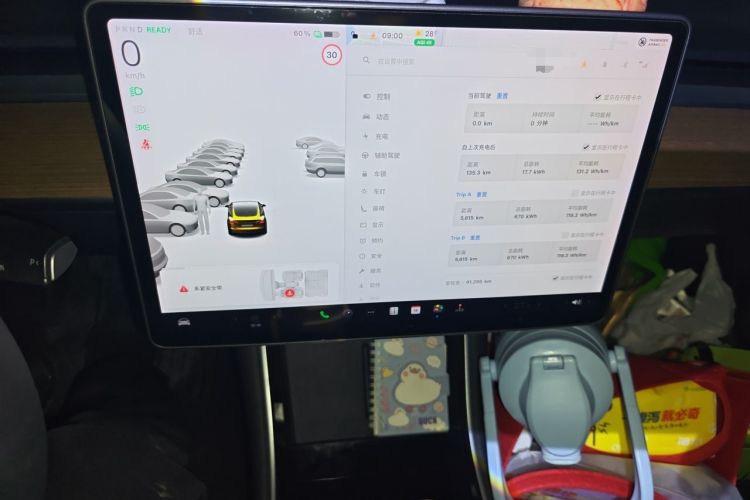 Used Tesla Model 3 2020 Revised Version Standard Range Rear-Wheel Drive – Upgraded Edition Instrument Cluster