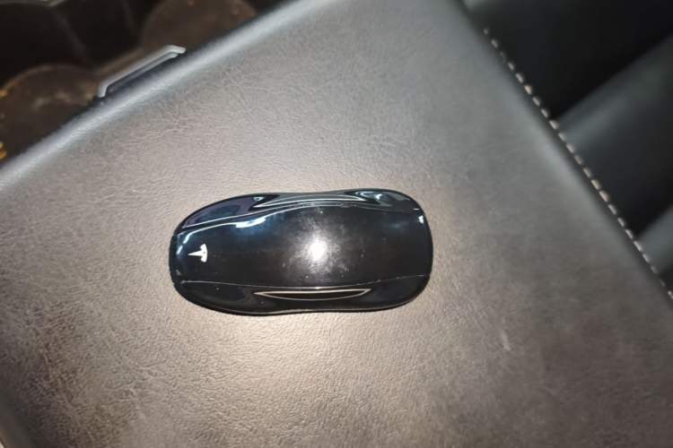 Used Tesla Model 3 2020 Standard Range Rear-Wheel Drive Upgraded Version Interior 1