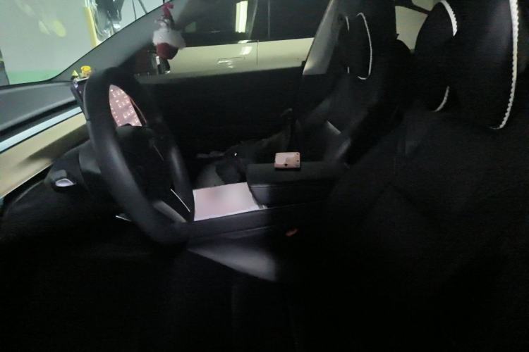 Used Tesla Model 3 2020 Standard Range Rear-Wheel Drive Upgraded Version Left Front Seat