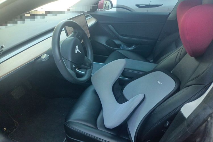 Used Tesla Model 3 2020 Standard Range Rear-Wheel Drive Upgraded Version Left Front Seat
