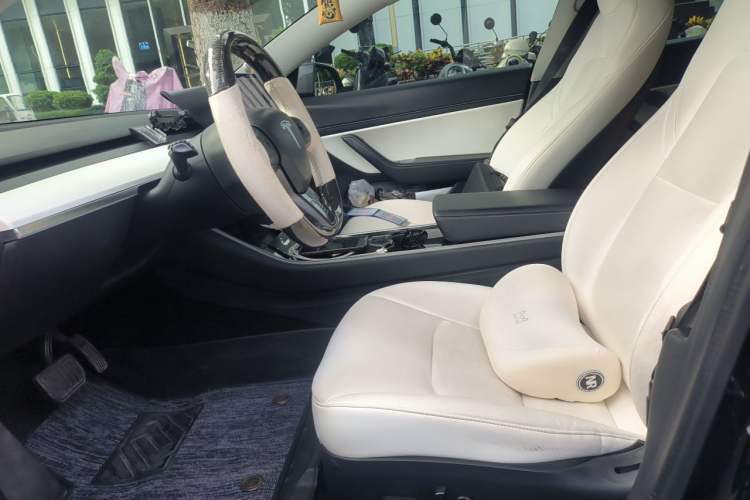 Used Tesla Model 3 2020 Standard Range Rear-Wheel Drive Upgraded Version Left Front Seat