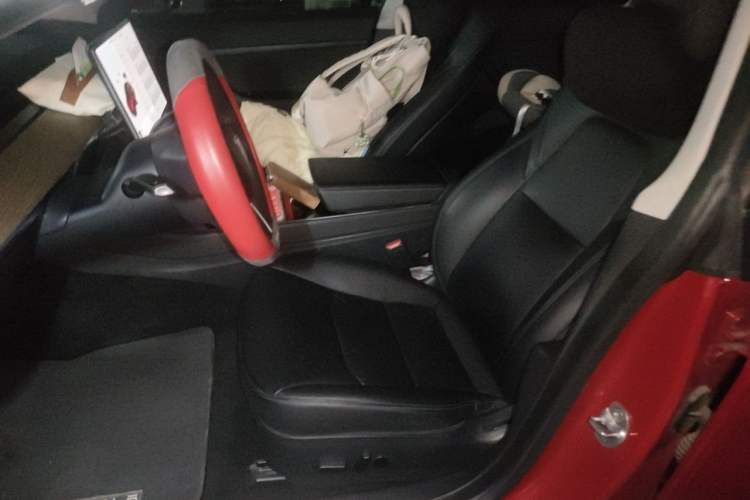 Used Tesla Model 3 2020 Standard Range Rear-Wheel Drive Upgraded Version Left Front Seat