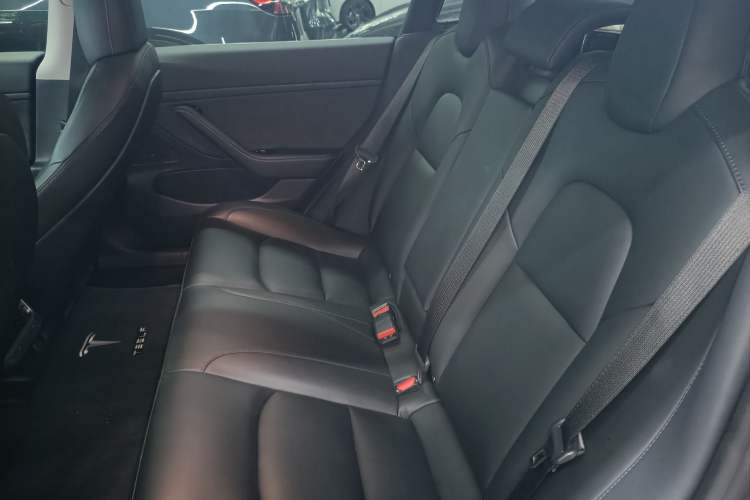 Used Tesla Model 3 2020 Refreshed Version Long-Range Rear-Wheel Drive Left Rear Seat
