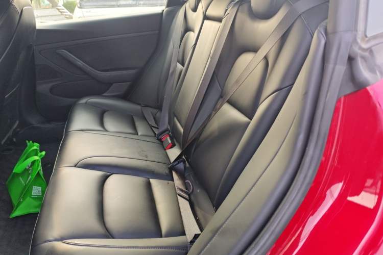 Used Tesla Model 3 2020 Standard Range Rear-Wheel Drive Upgraded Version Left Rear Seat