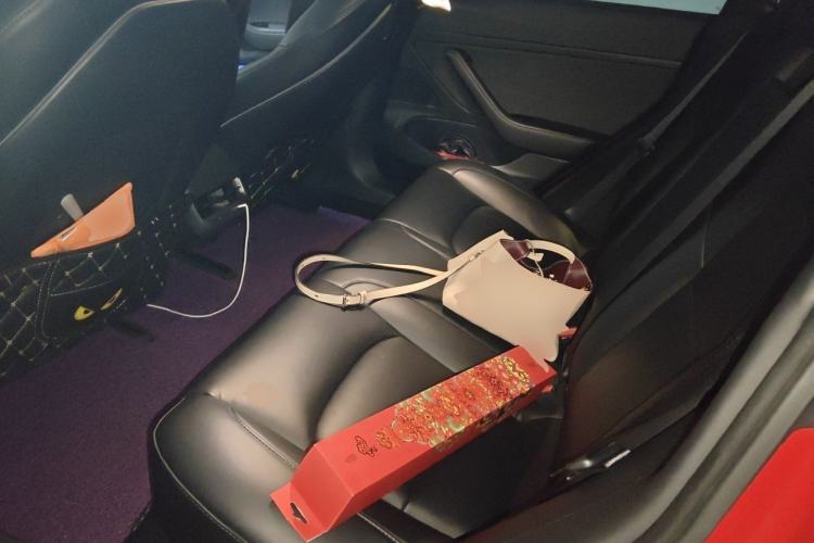 Used Tesla Model 3 2020 Standard Range Rear-Wheel Drive Upgraded Version Left Rear Seat