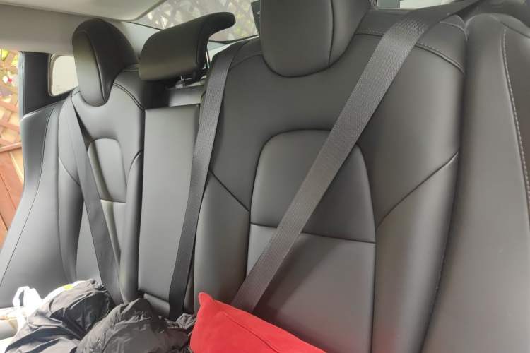 Used Tesla Model 3 2020 Refreshed Version Long-Range Rear-Wheel Drive Left Rear Seat