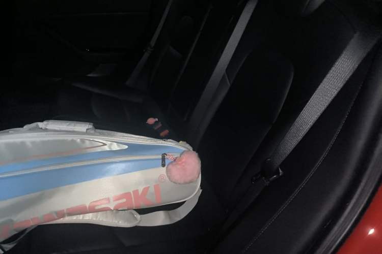 Used Tesla Model 3 2020 Standard Range Rear-Wheel Drive Upgraded Version Left Rear Seat