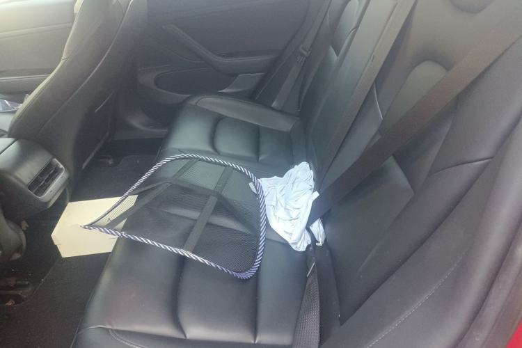 Used Tesla Model 3 2020 Standard Range Rear-Wheel Drive Upgraded Version Left Rear Seat