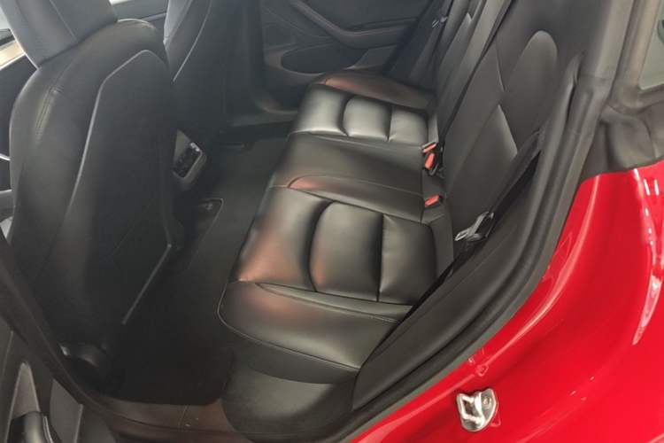 Used Tesla Model 3 2020 Long-Range Rear-Wheel-Drive Version Left Rear Seat