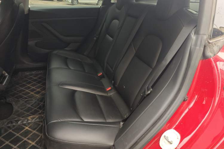 Used Tesla Model 3 2020 Standard Range Rear-Wheel Drive Upgraded Version Left Rear Seat