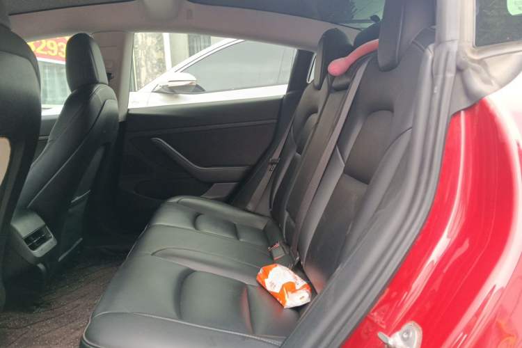 Used Tesla Model 3 2020 Revised Version Standard Range Rear-Wheel Drive – Upgraded Edition Left Rear Seat