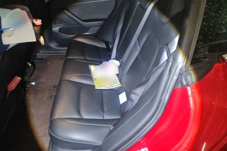 Used Tesla Model 3 2020 Revised Version Standard Range Rear-Wheel Drive – Upgraded Edition Left Rear Seat