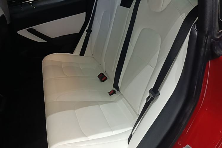Used Tesla Model 3 2020 Long-Range Rear-Wheel-Drive Version Left Rear Seat