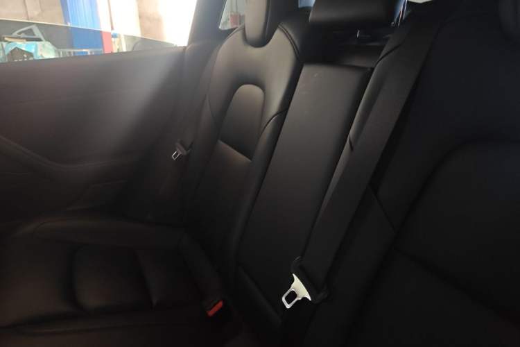 Used Tesla Model 3 2020 Refreshed Version Long-Range Rear-Wheel Drive Left Rear Seat