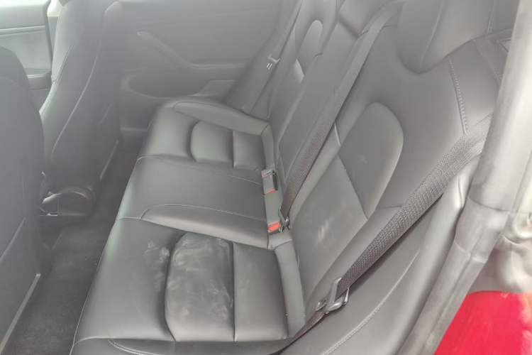Used Tesla Model 3 2020 Revised Version Standard Range Rear-Wheel Drive – Upgraded Edition Left Rear Seat
