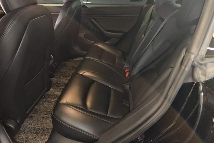Used Tesla Model 3 2020 Revised Version Standard Range Rear-Wheel Drive – Upgraded Edition Left Rear Seat