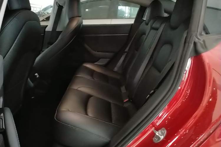 Used Tesla Model 3 2020 Revised Version Standard Range Rear-Wheel Drive – Upgraded Edition Left Rear Seat