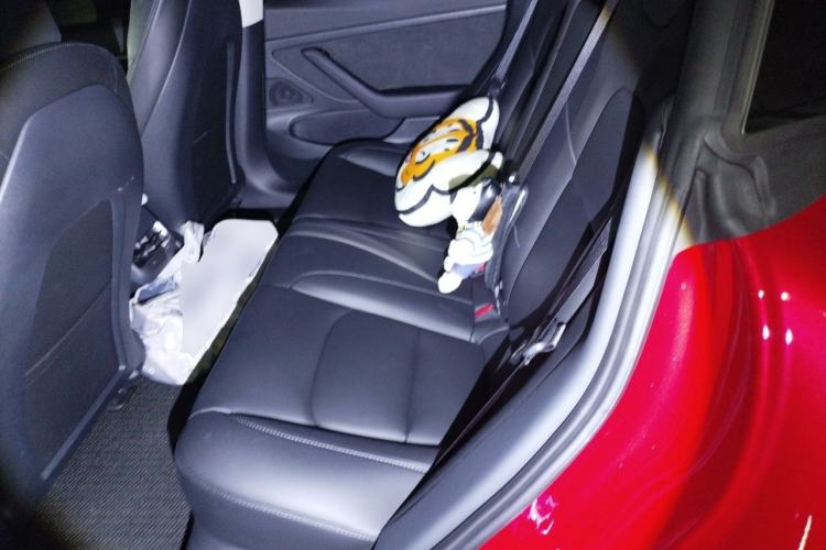 Used Tesla Model 3 2020 Standard Range Rear-Wheel Drive Upgraded Version Left Rear Seat
