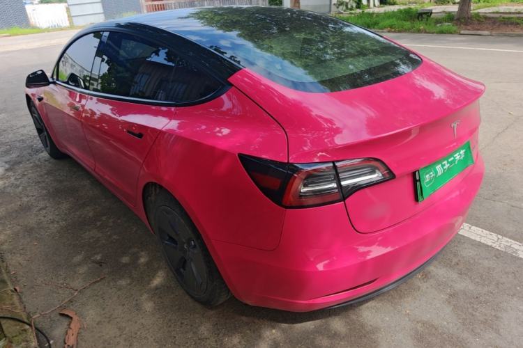 Used Tesla Model 3 2020 Standard Range Rear-Wheel Drive Upgraded Version Rear Left 45 Deg