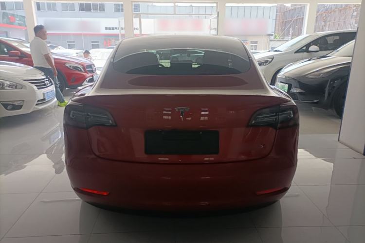 Used Tesla Model 3 2020 Standard Range Rear-Wheel Drive Upgraded Version Rear