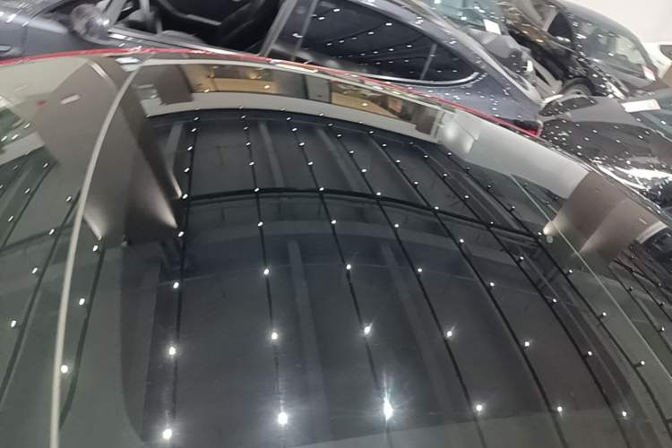 Used Tesla Model 3 2020 Long-Range Rear-Wheel-Drive Version Roof