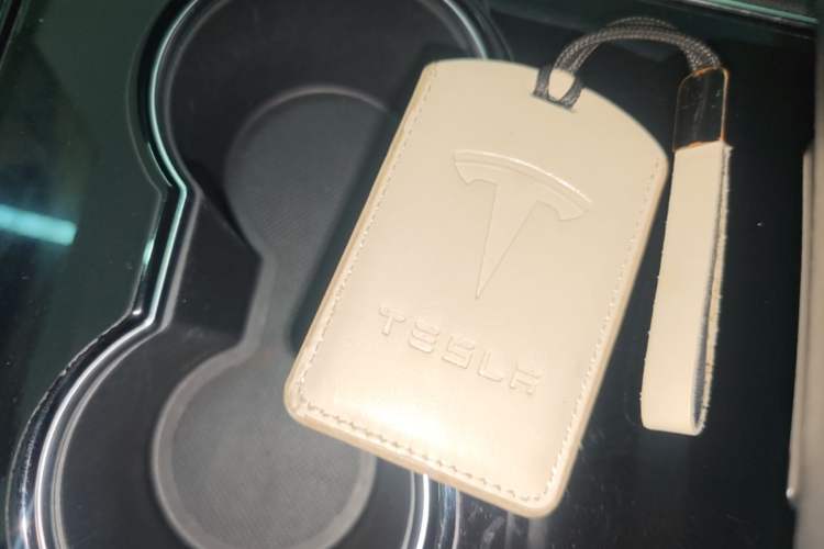 Used Tesla Model 3 2020 Revised Version Standard Range Rear-Wheel Drive – Upgraded Edition Vehicle Key