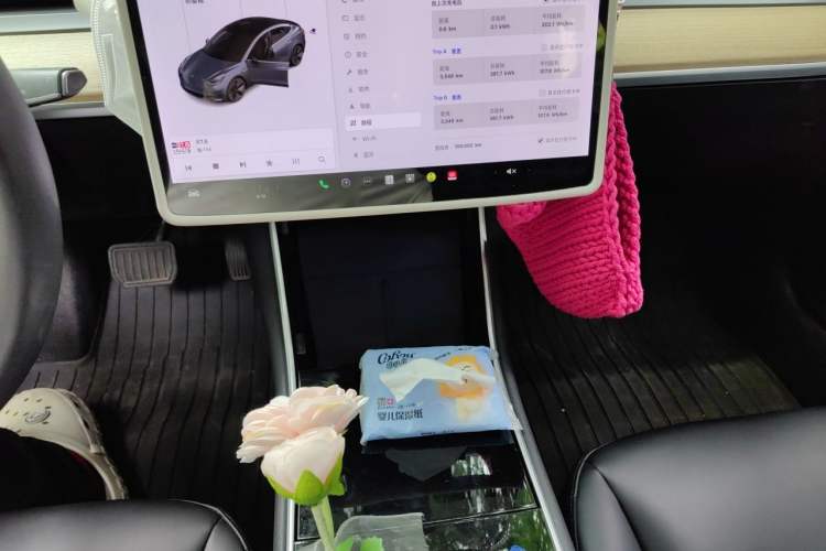 Used Tesla Model 3 2020 Standard Range Rear-Wheel Drive Upgraded Version Audio And AC Panel