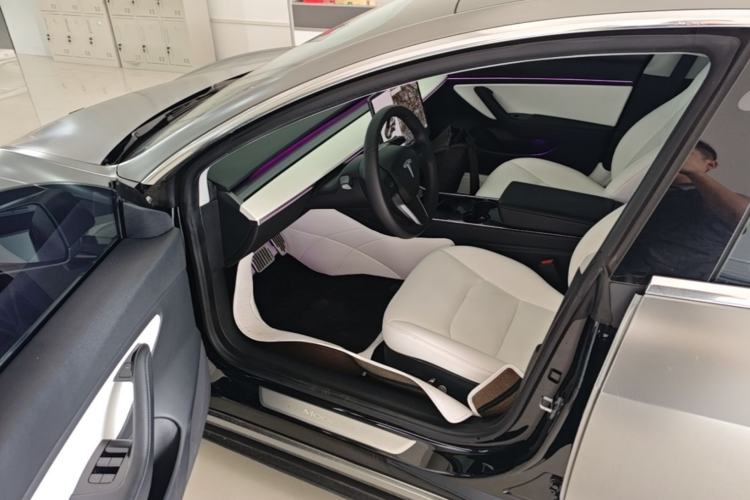 Used Tesla Model 3 2020 Standard Range Rear-Wheel Drive Upgraded Version Driver Seat