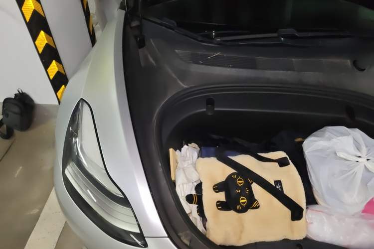 Used Tesla Model 3 2020 Revised Version Standard Range Rear-Wheel Drive – Upgraded Edition Engine Bay Right