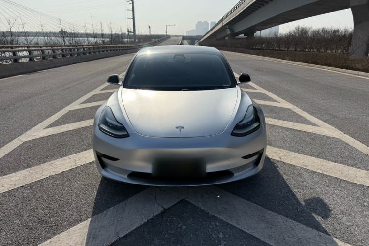Used Tesla Model 3 2020 Standard Range Rear-Wheel Drive Upgraded Version Exterior 6