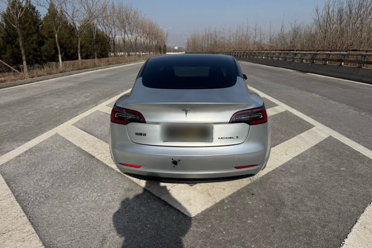 Used Tesla Model 3 2020 Standard Range Rear-Wheel Drive Upgraded Version Exterior 8