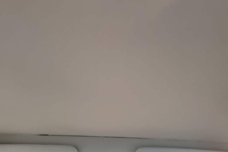 Used Tesla Model 3 2020 Refreshed Version Long-Range Rear-Wheel Drive Headliner